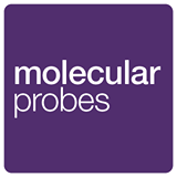 Molecular Probes