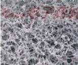 美国pall Immobilon-P卷状PVDF转印膜 宽*长：26.5×375cm