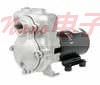 Cole-Parmer®低流量关闭耦合泵，最大流量20 GPM，1“软管端口，316不锈钢208-230 V 3450 TENV电机