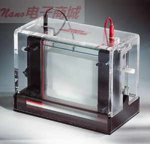 Thermo Scientific P9DS-1 标配双面立式细胞