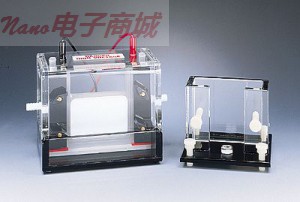 Thermo Scientific P8DS-1 迷你双面垂直凝胶