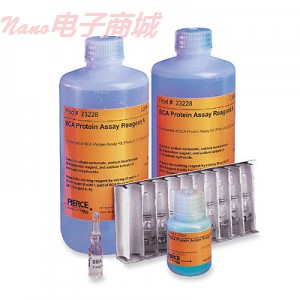 BCA ™蛋白定量试剂盒