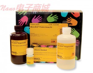 微BCA ™蛋白定量试剂盒