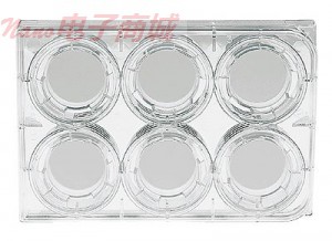 Transwell小™透水支持，0.4微米尺寸6集群板块，PC膜; 24/case