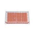 Thermo Scientific Nunc  96孔板，非无菌盖，非处理，1盒100（10/PK）