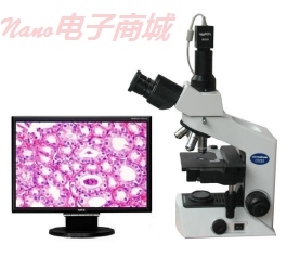 奥林巴斯 CX41-32C02 生物显微镜