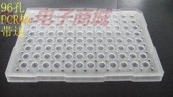 Y5005 96孔PCR板带边