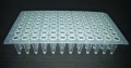 Y5004 96孔PCR板