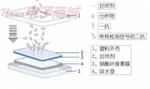 Whatman NC FT020渗滤膜10420001 NC FT020 SHT 350mmx640mm 10/PK，尺寸：350MMx640MM 孔径0.2um